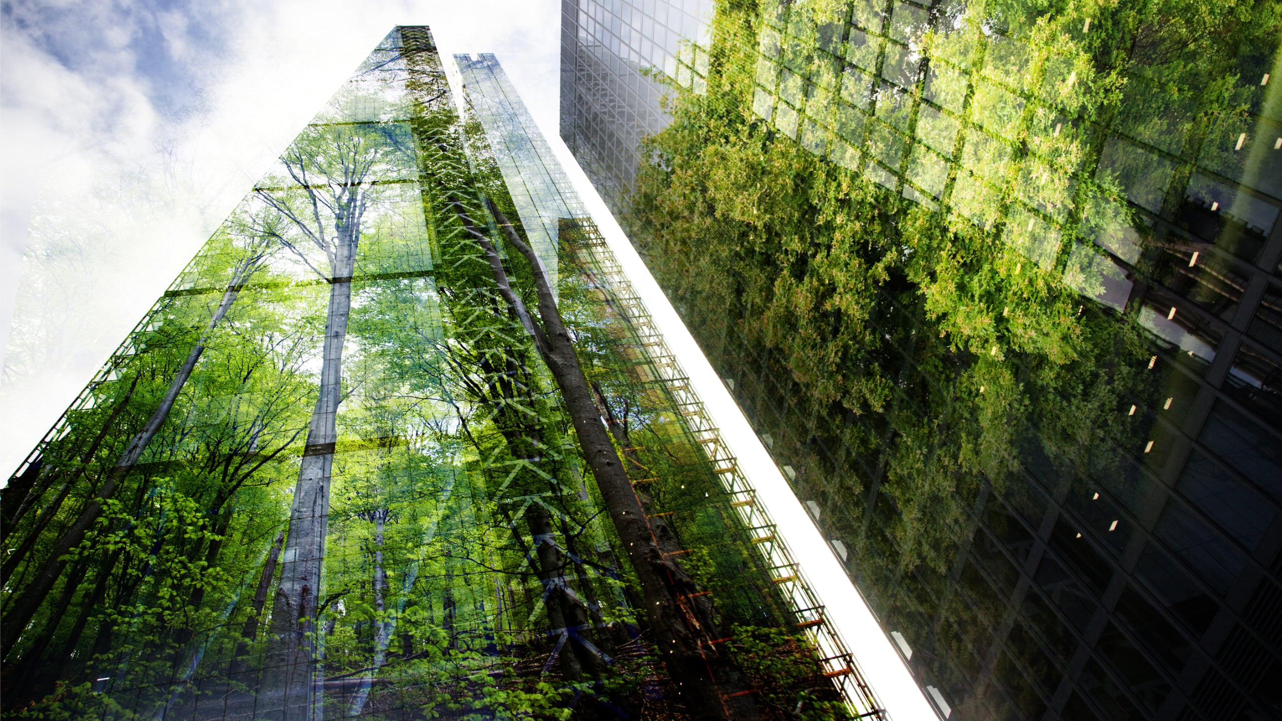 A double exposure merging a skyscraper with a lush forest. The left side features the skyscraper's reflective facade transitioning into dense greenery on the right, creating a visual metaphor that blends urban and natural settings.
