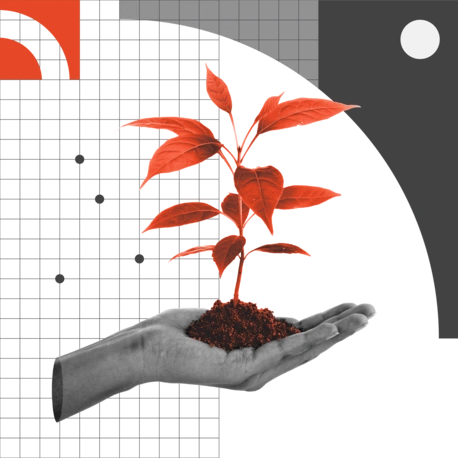 A hand holding a red plant with soil against a black, white, and red background.