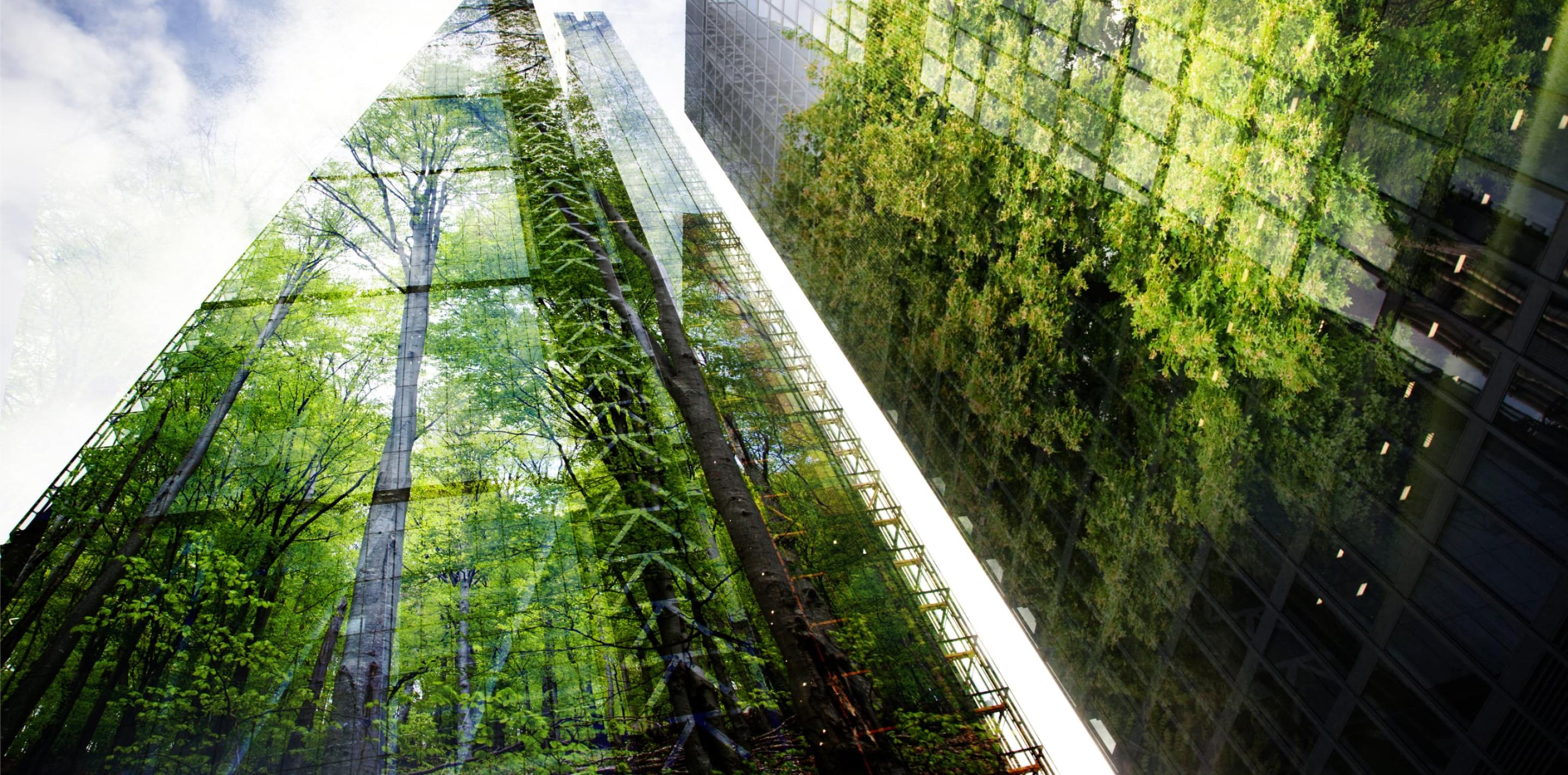 A double exposure merging a skyscraper with a lush forest. The left side features the skyscraper's reflective facade transitioning into dense greenery on the right, creating a visual metaphor that blends urban and natural settings.