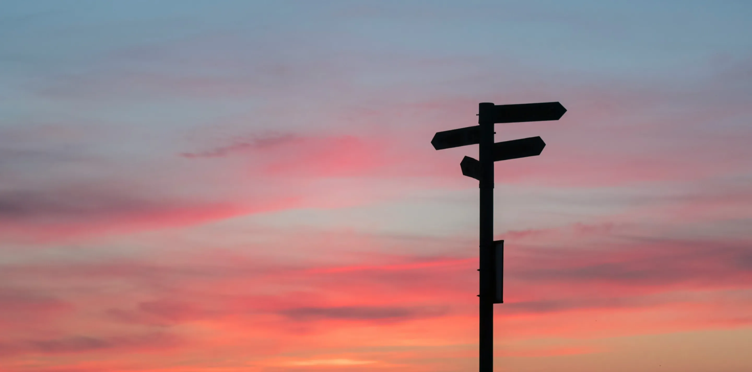 Silhouetted directional signpost with multiple arrows against a pink and blue sky at dusk.