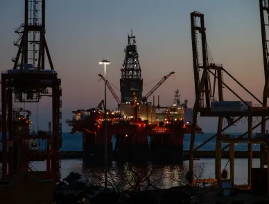 Illuminated offshore oil platform surrounded by industrial cranes at dusk, with calm water and bare tree branches in foreground.